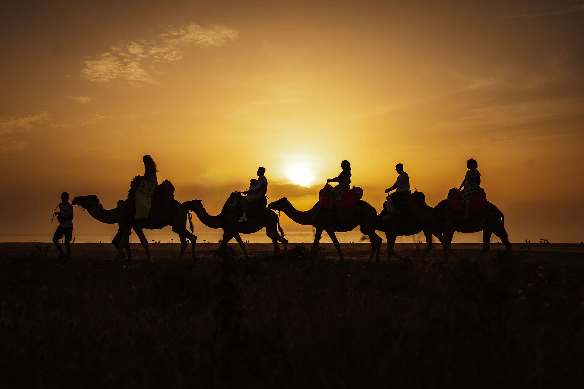 wedding party riding camels captured in wedding photography in Tangier, Morocco by Ben Lee.